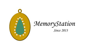 MemoryStation2013 logo