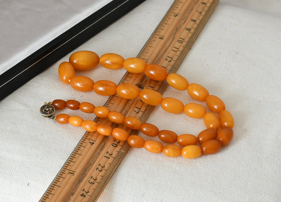 Vintage Antique Art Deco Baltic Butterscotch Egg Yolk Amber Bead Graduated Choker Necklace, 18.5 Inches